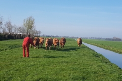 20190405_100333-kopie