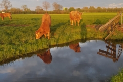 20190426_201926